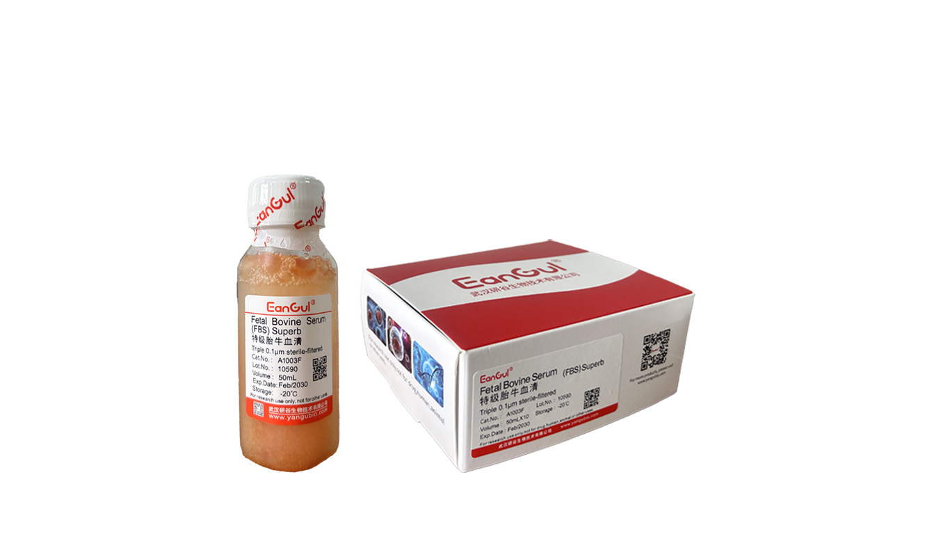 特级胎牛血清免分装 (50mLX10)