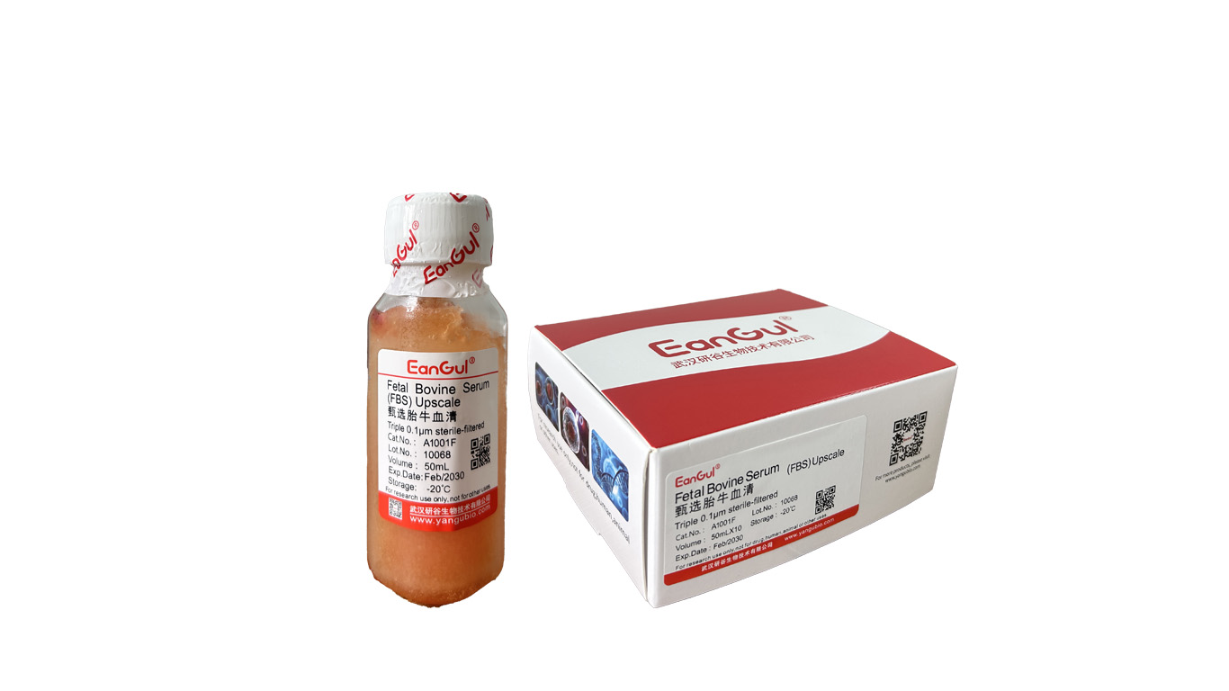 甄选胎牛血清（50mLx10）免分装