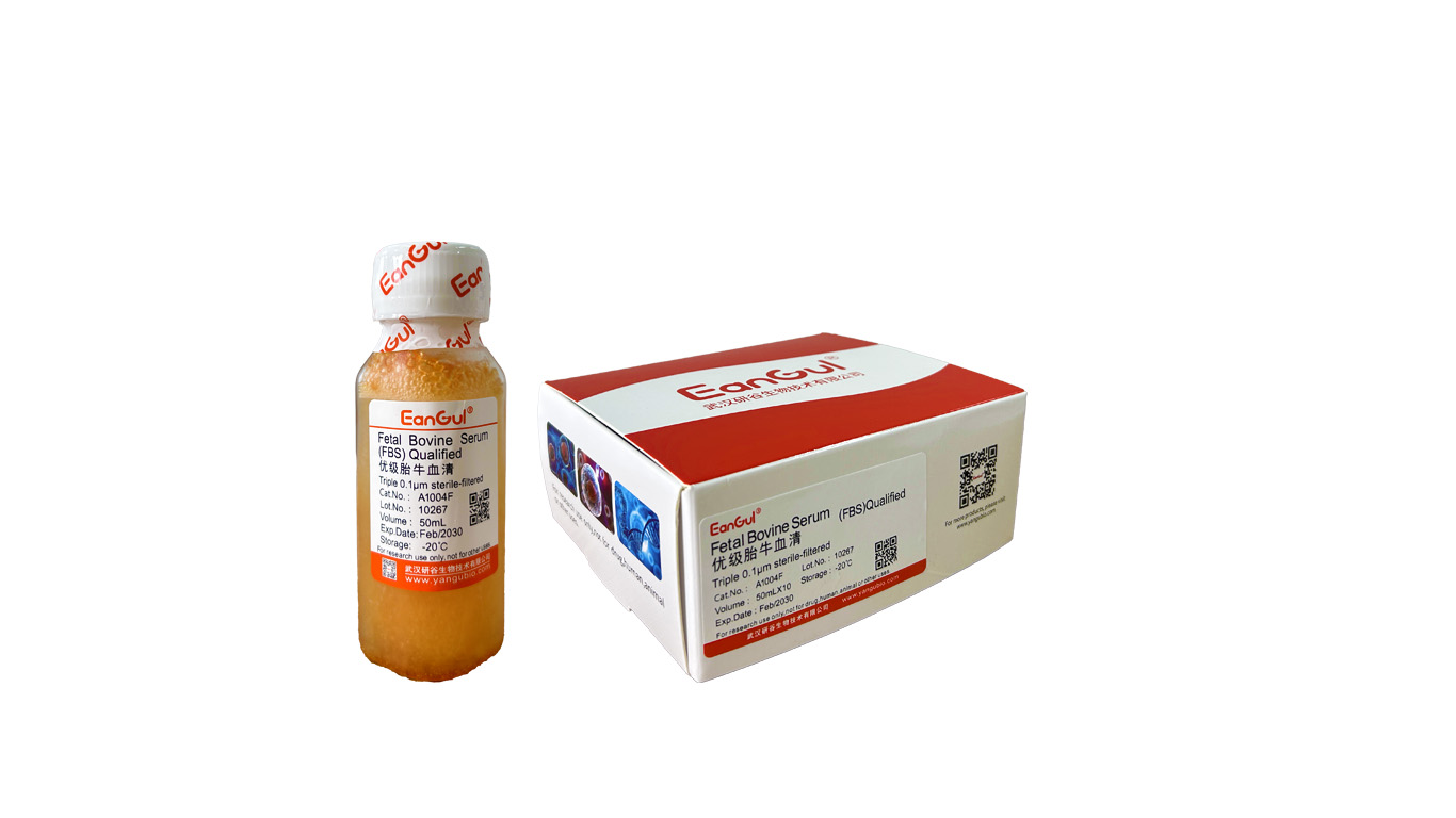 优等级胎牛血清 免分装(50mLx10)