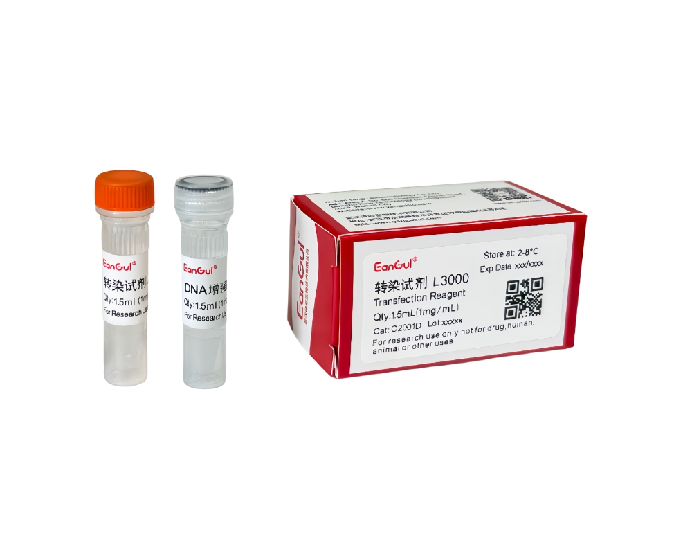 转染试剂L3000（1.5mL)