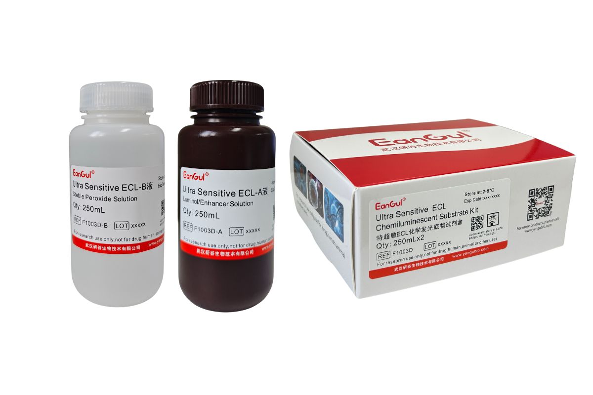 特超敏ECL化学发光底物试剂盒 A250mL+B250mL