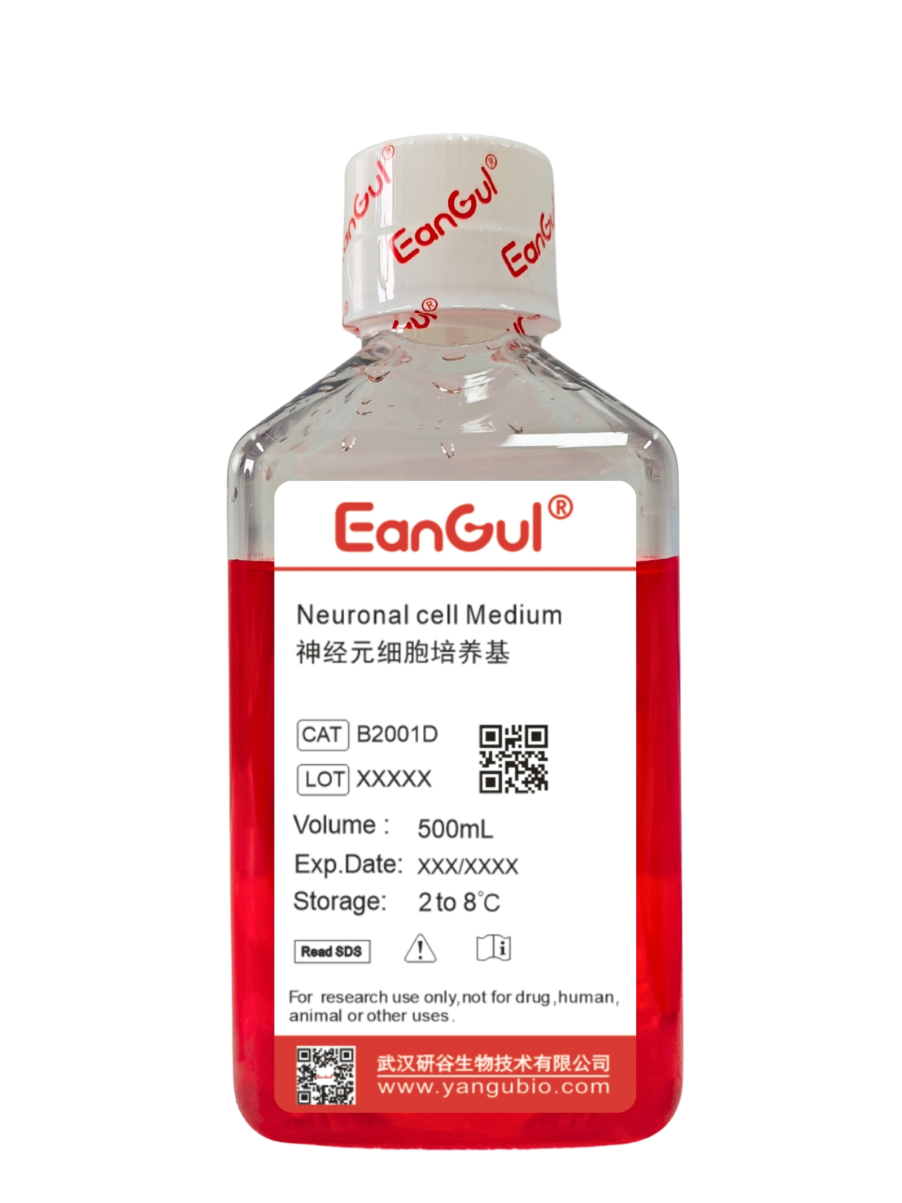 神经元细胞培养基 500mL