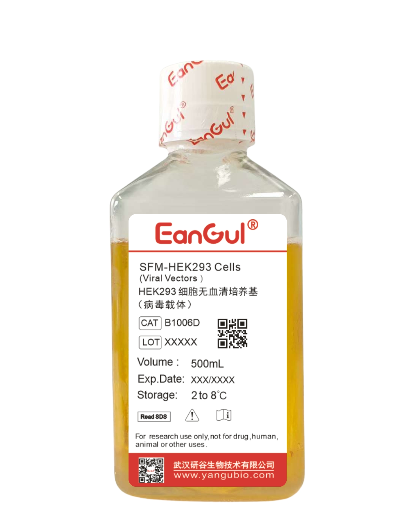 HEK293细胞无血清培养基（病毒载体）500mL