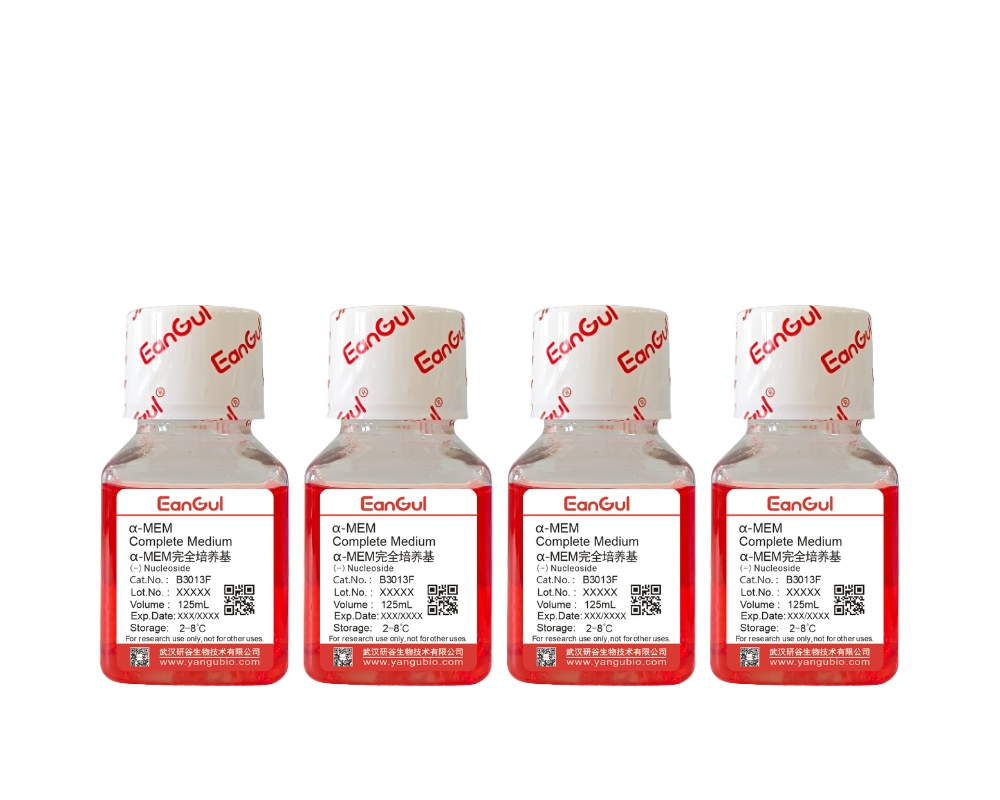 α-MEM完全培养基（不含核苷）