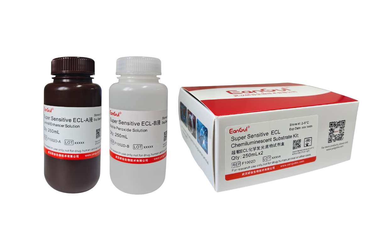 超敏ECL化学发光底物试剂盒 A250mL+B250mL
