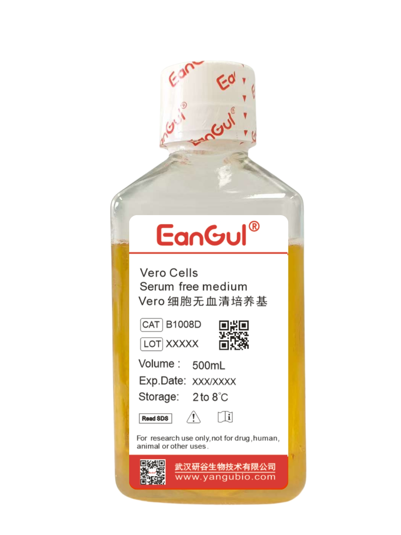 Vero非洲绿猴肾细胞 无血清培养基（500mL)