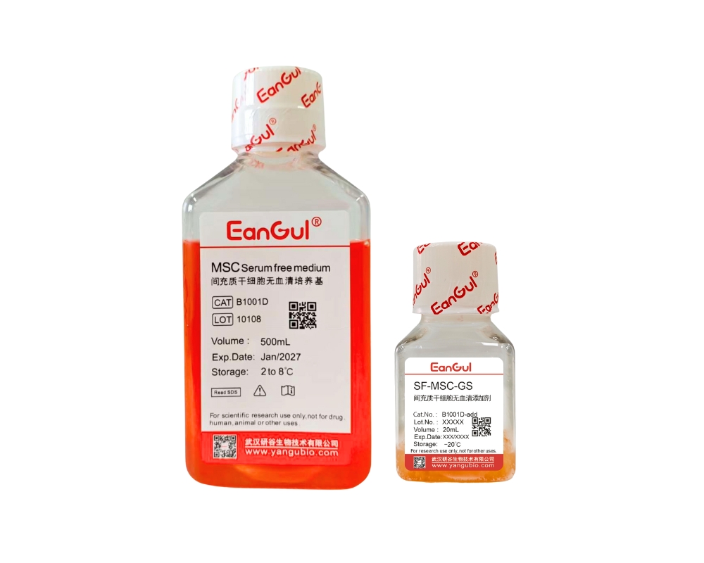 间充质干细胞无血清培养基(500mL)