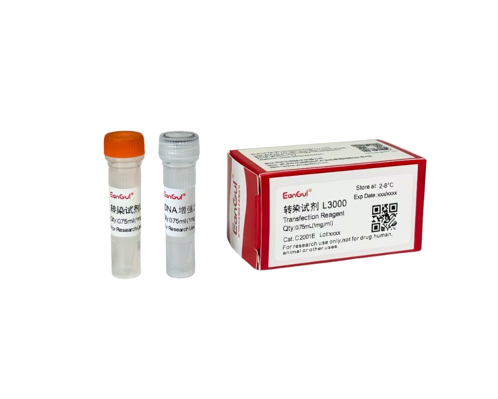 转染试剂L3000（0.75mL)