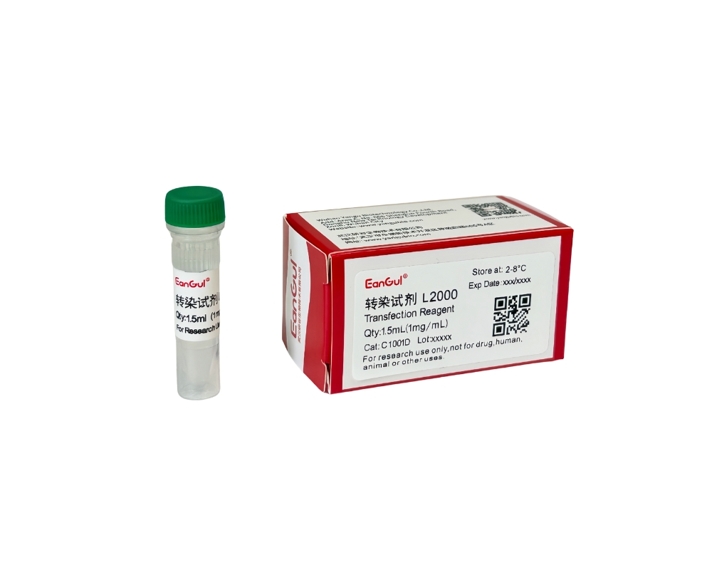 转染试剂L2000（1.5mL）