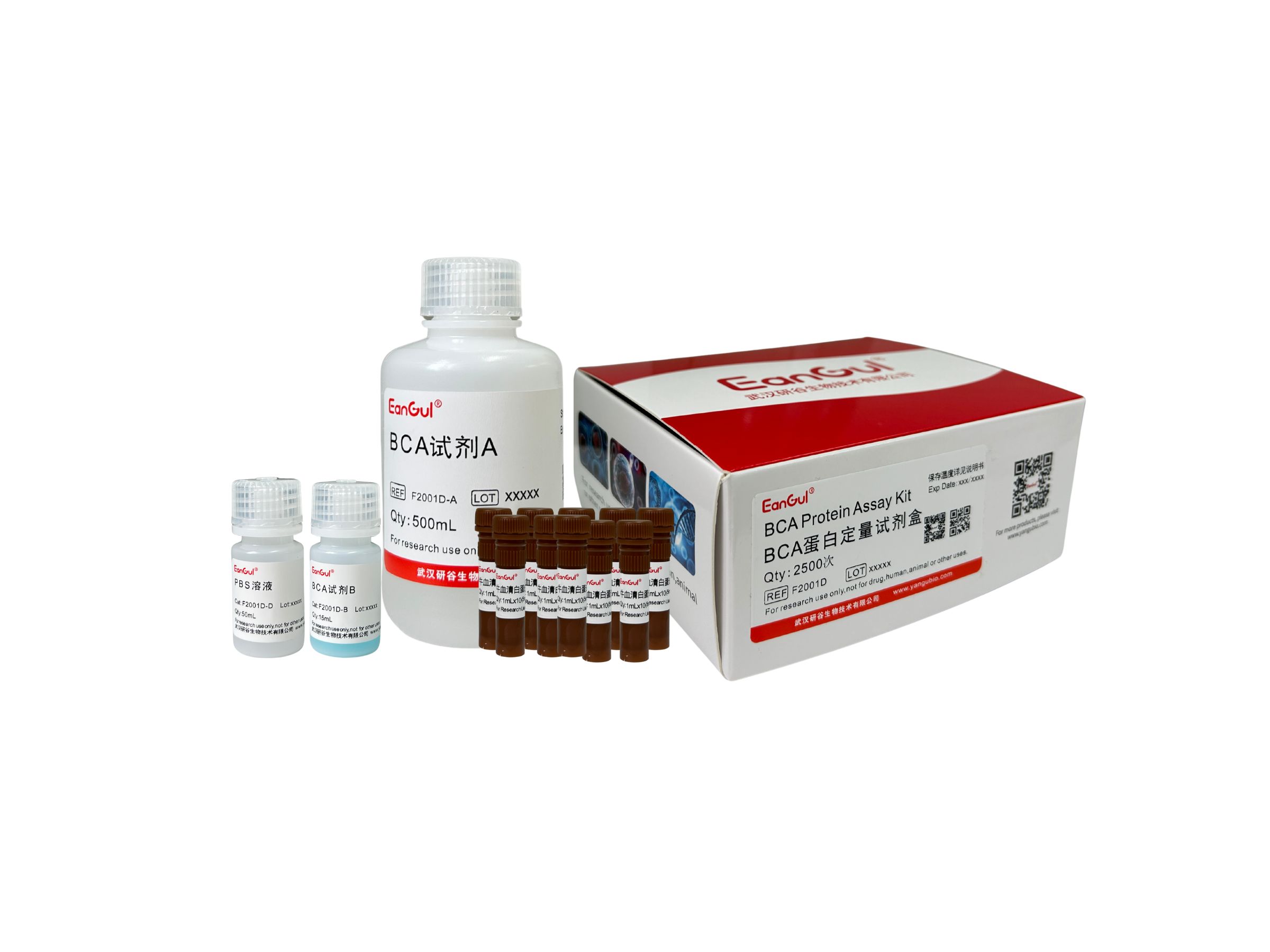 BCA蛋白定量试剂盒 2500T