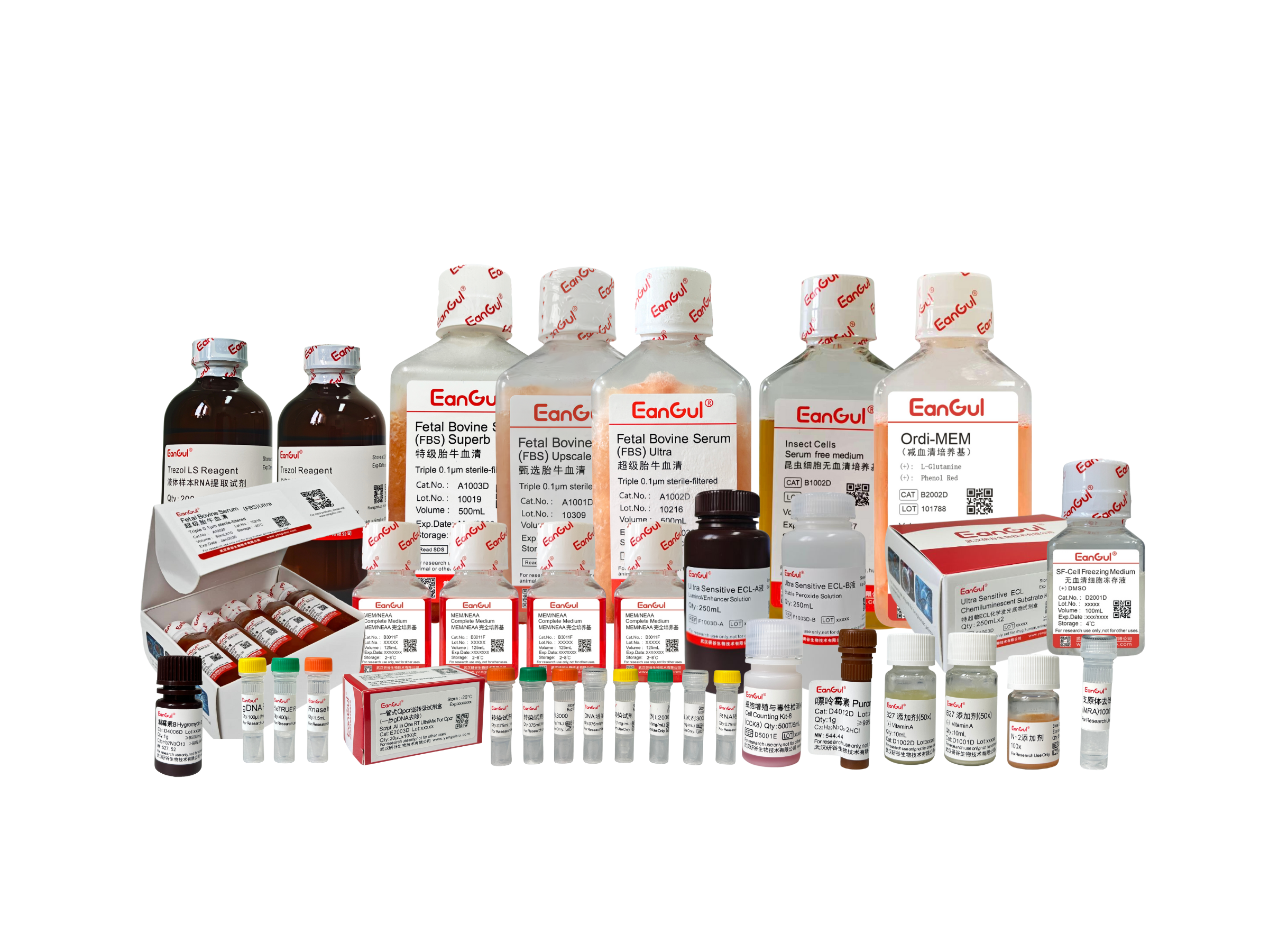 低生长因子基质胶（含酚红）10mL