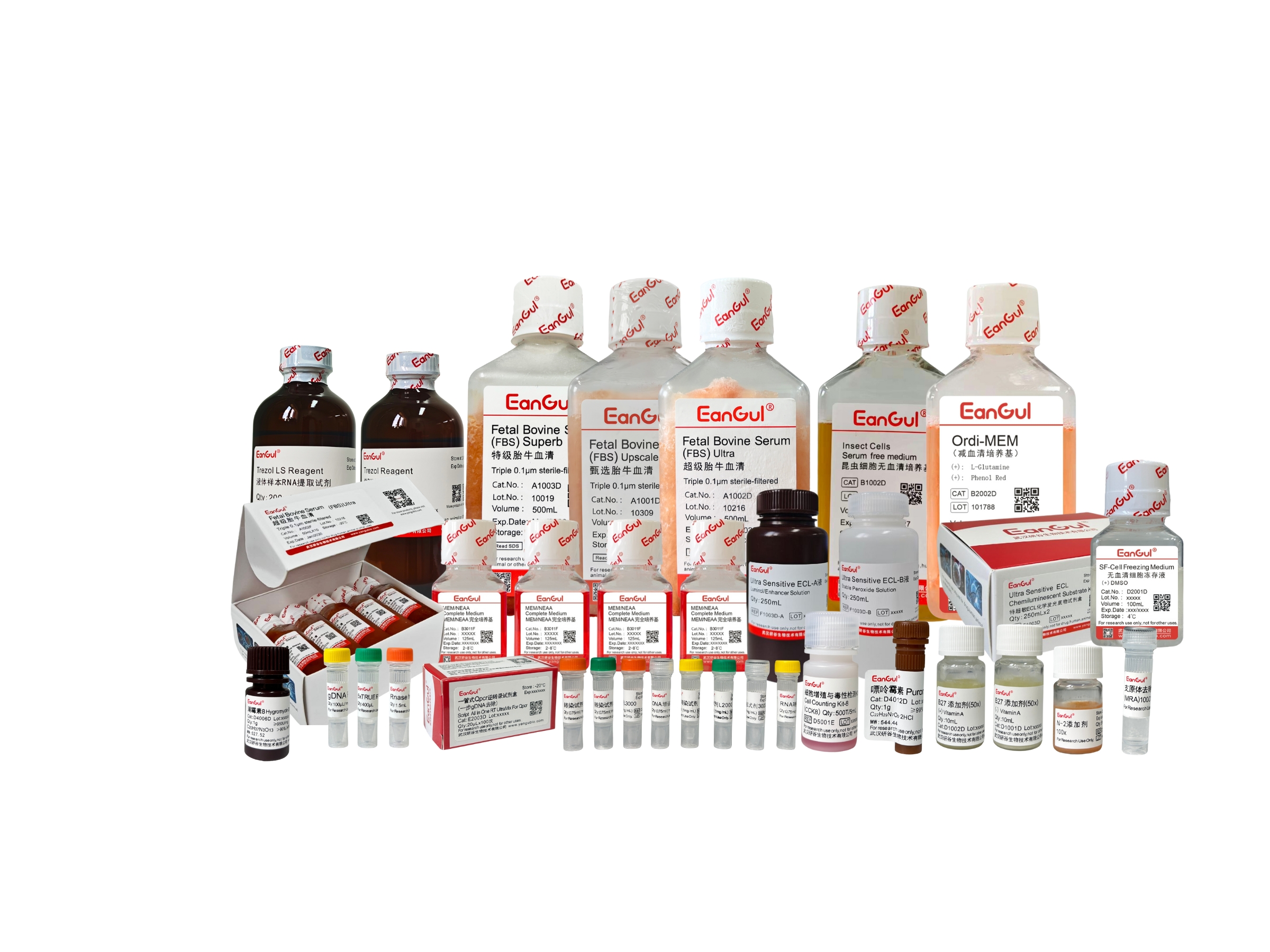 潮霉素B(液体)50mg/ml