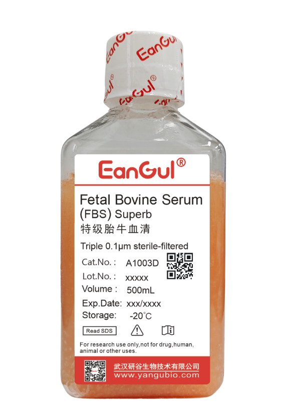 特级胎牛血清(500mL)