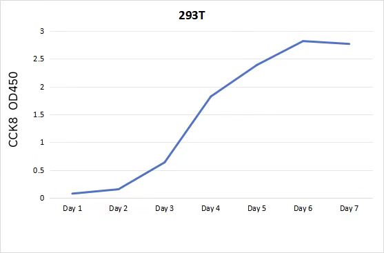46cbdafd7c9cb293dbfc2cdca1a8bcc 46cbdafd7c9cb293dbfc2cdca1a8bcc